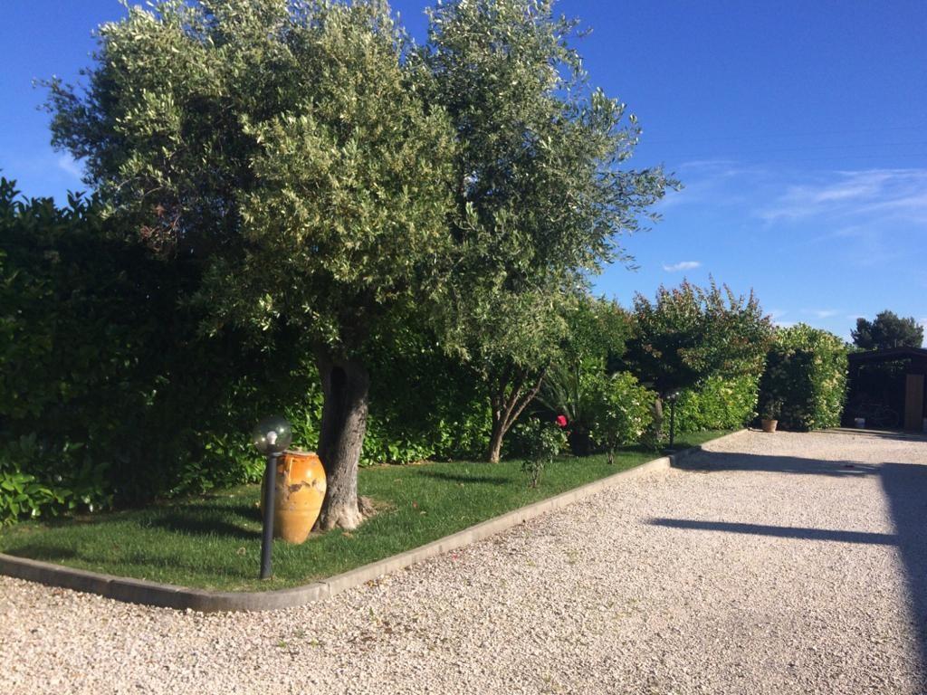 immagine annuncio 1 di 7