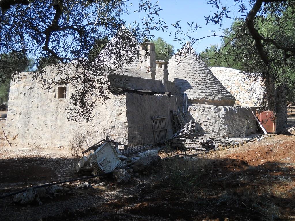 immagine annuncio 2 di 7