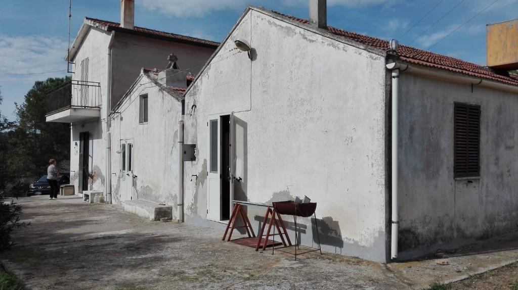 immagine annuncio 4 di 7