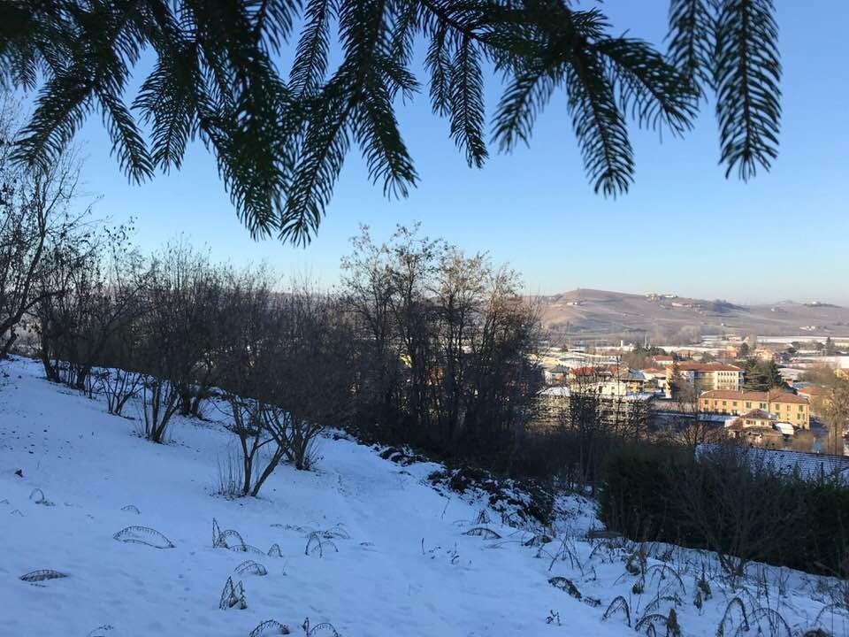 immagine annuncio 6 di 7