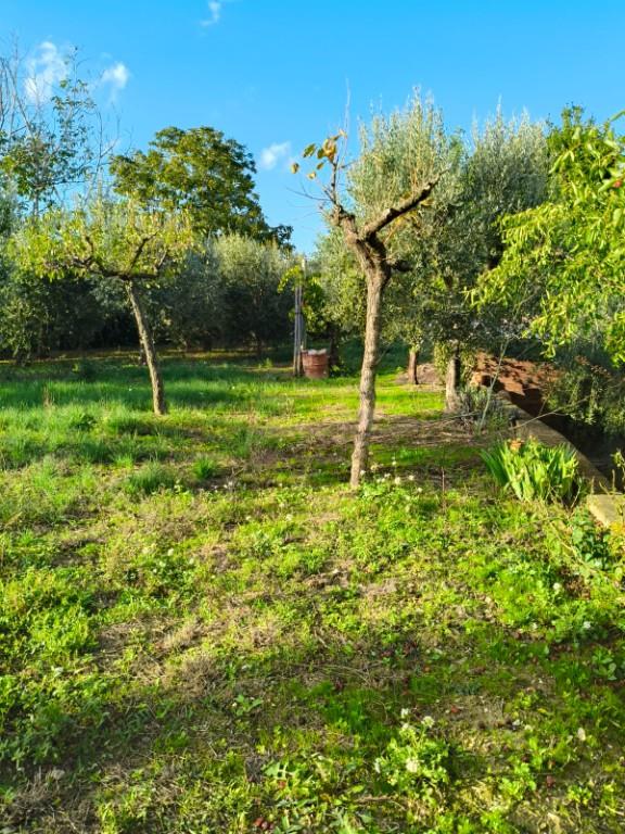 immagine annuncio 2 di 7