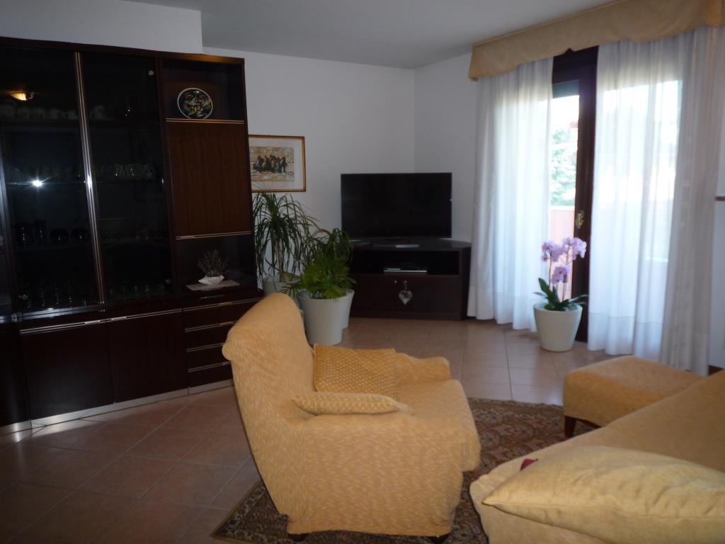 immagine annuncio 3 di 7