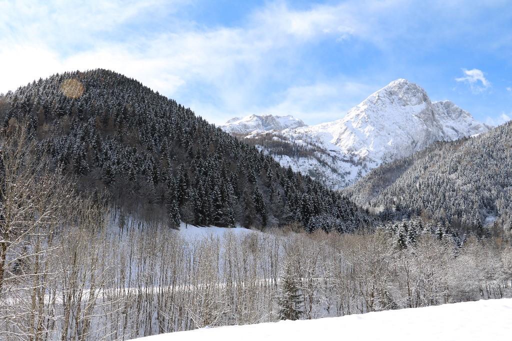 immagine annuncio 3 di 7