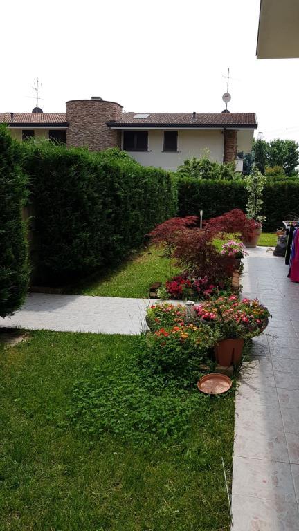 immagine annuncio 5 di 6