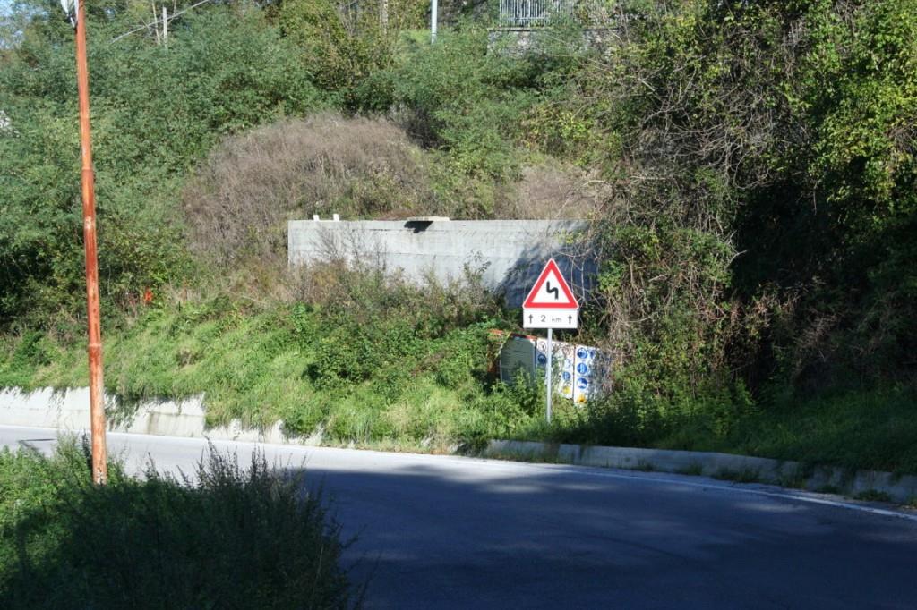 immagine annuncio 5 di 6