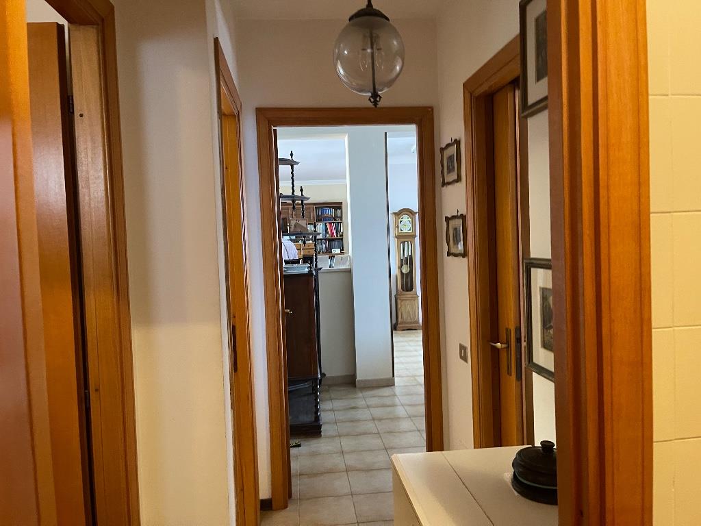 immagine annuncio 2 di 7