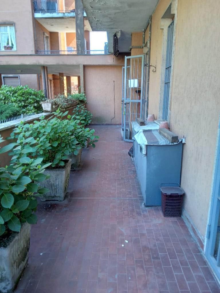 immagine annuncio 5 di 7