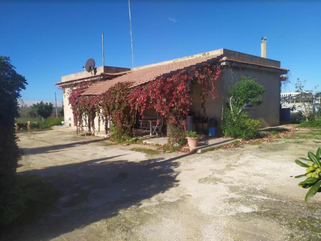 immagine annuncio 3 di 6