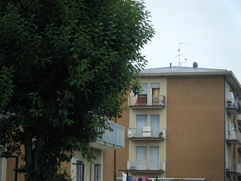 immagine annuncio 2 di 6