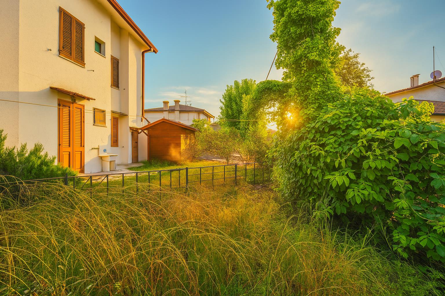 immagine annuncio 6 di 7