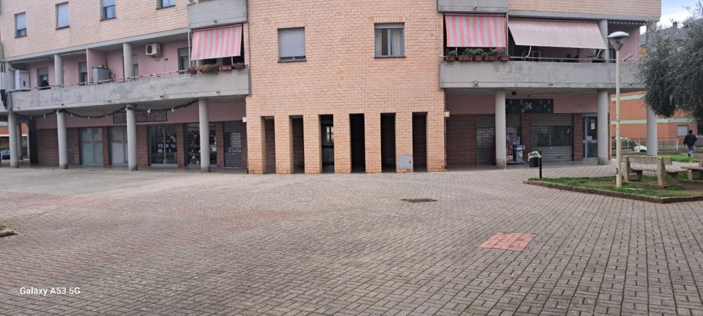 immagine annuncio 3 di 4