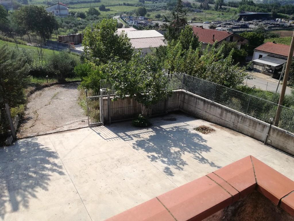 immagine annuncio 6 di 7
