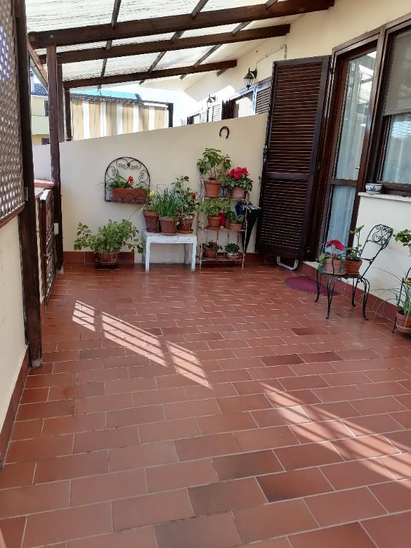 immagine annuncio 1 di 7