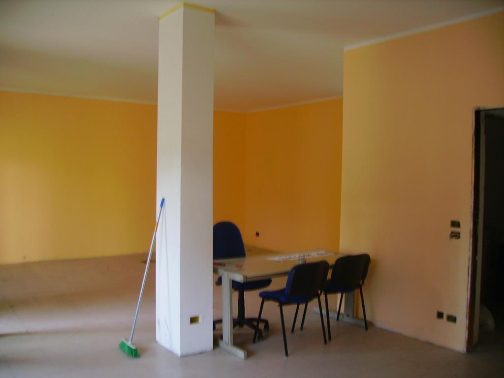 immagine annuncio 3 di 6
