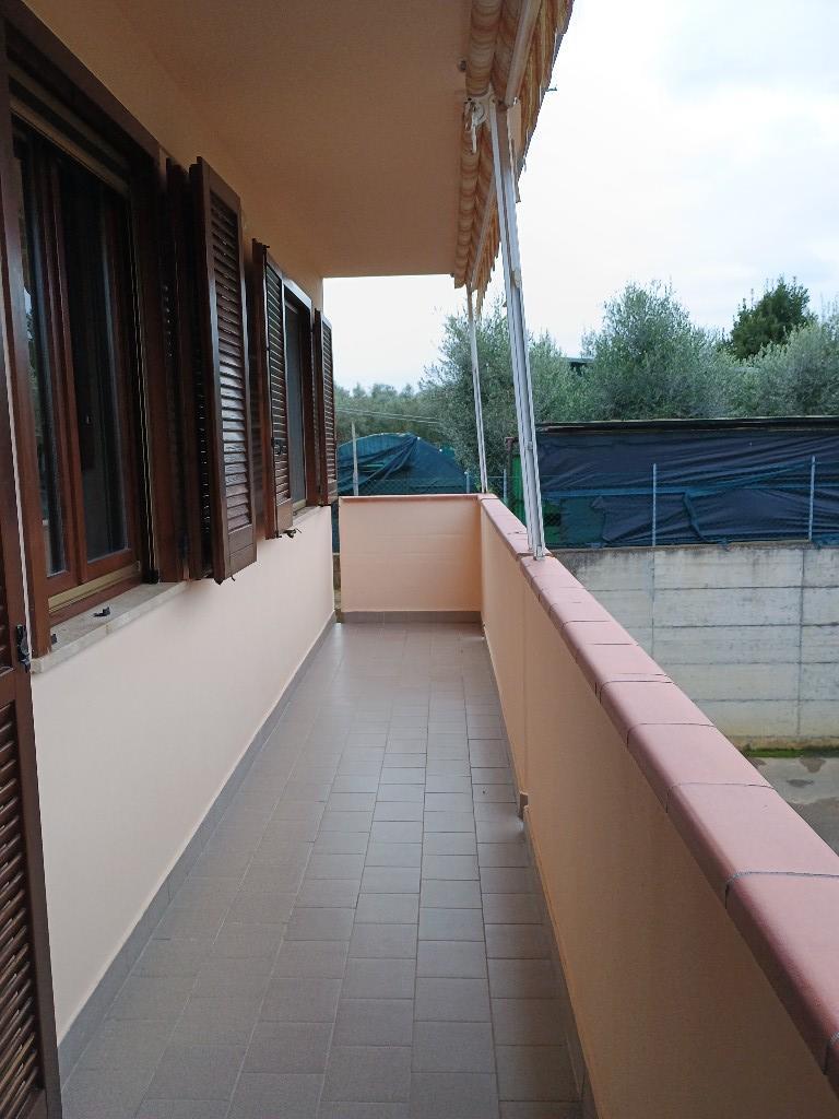 immagine annuncio 2 di 7