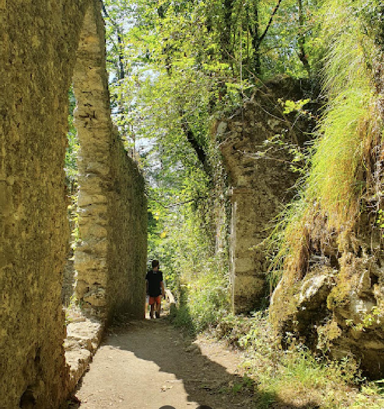 immagine annuncio 5 di 7