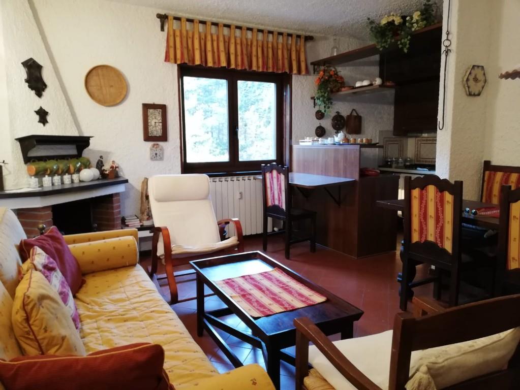 immagine annuncio 5 di 7