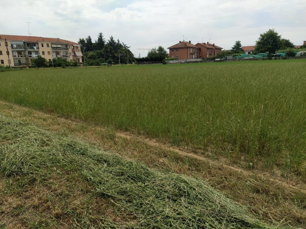 immagine annuncio 2 di 6