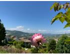 Foto - Affitto Appartamento Vacanze da Privato a Castiglione dei Pepoli (Bologna)