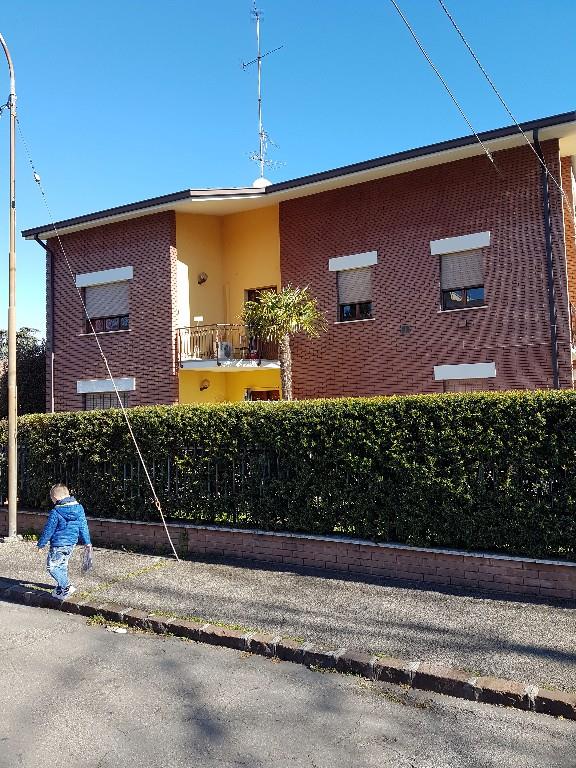 immagine annuncio 5 di 7