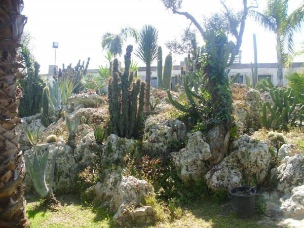 immagine annuncio 5 di 7