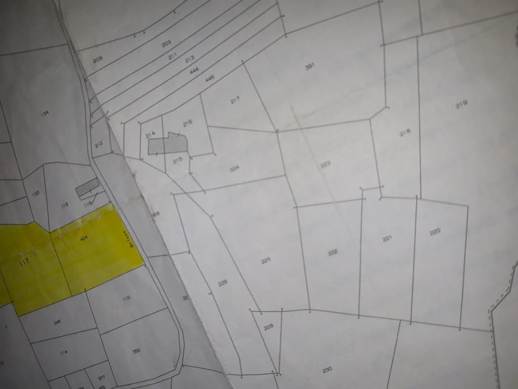 immagine annuncio 1 di 2