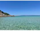 Foto - Affitto Appartamento Vacanze da Privato a Santa Teresa Gallura (Sassari)