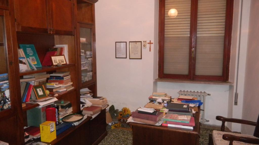 immagine annuncio 3 di 6