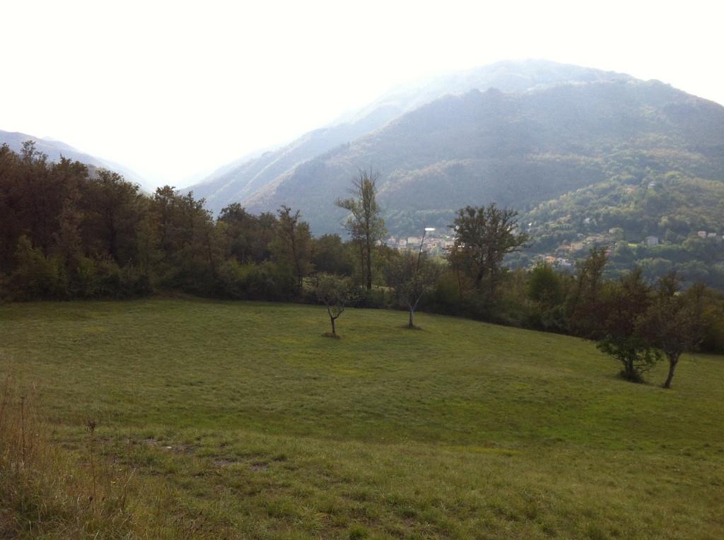 immagine annuncio 4 di 7
