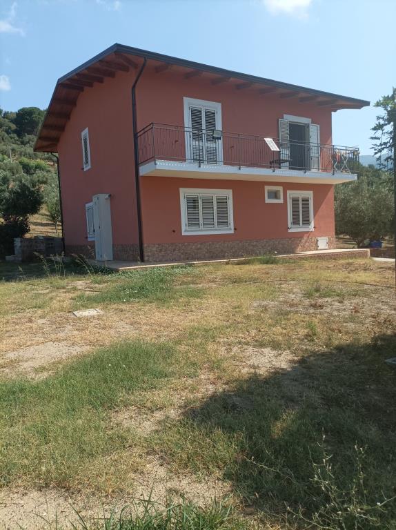 immagine annuncio 1 di 7