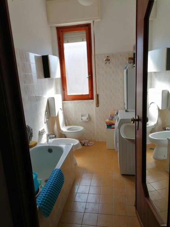 immagine annuncio 3 di 7