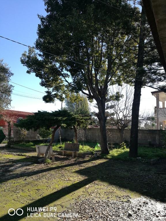 immagine annuncio 6 di 7
