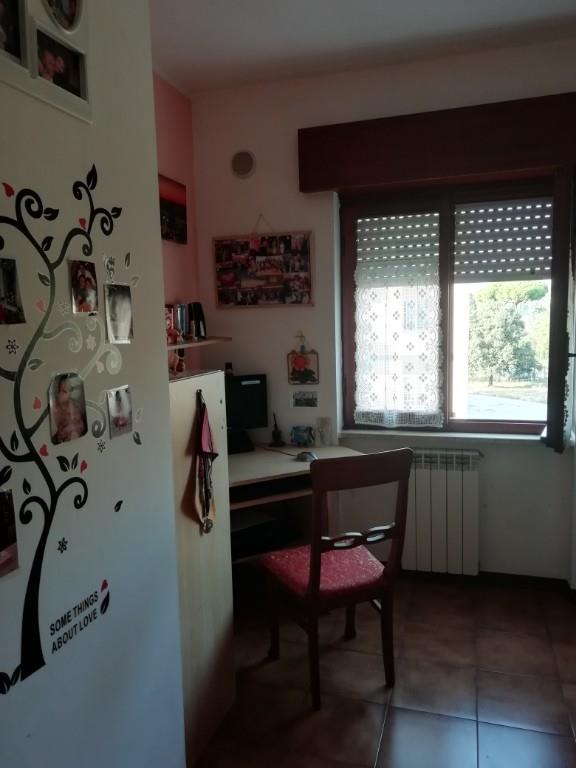 immagine annuncio 4 di 7