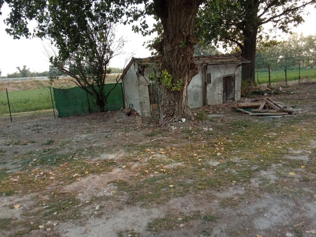 immagine annuncio 3 di 7