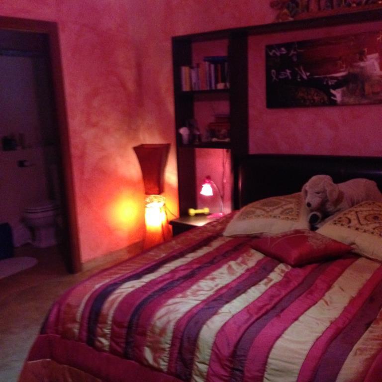 immagine annuncio 3 di 6