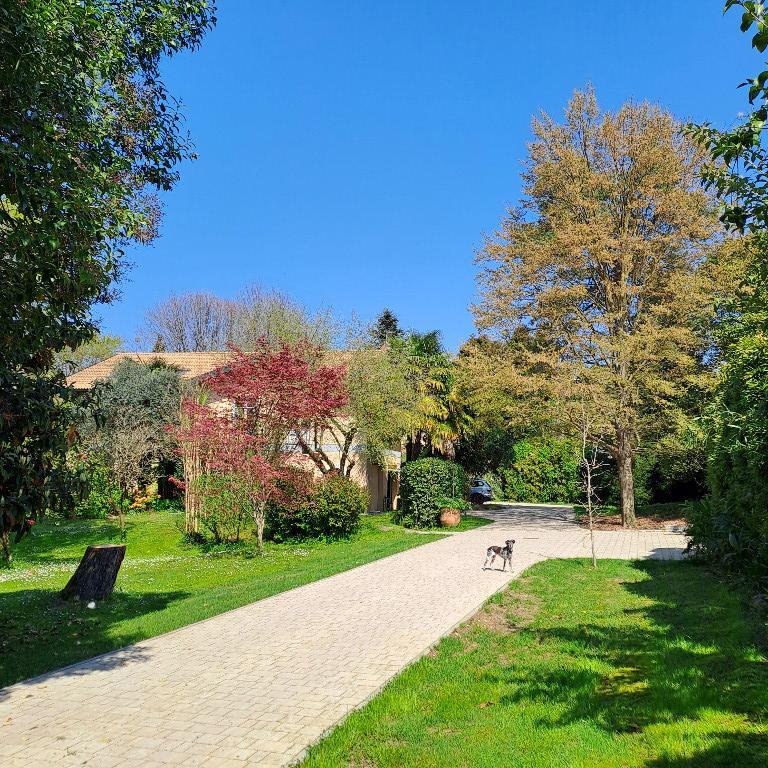 immagine annuncio 6 di 7