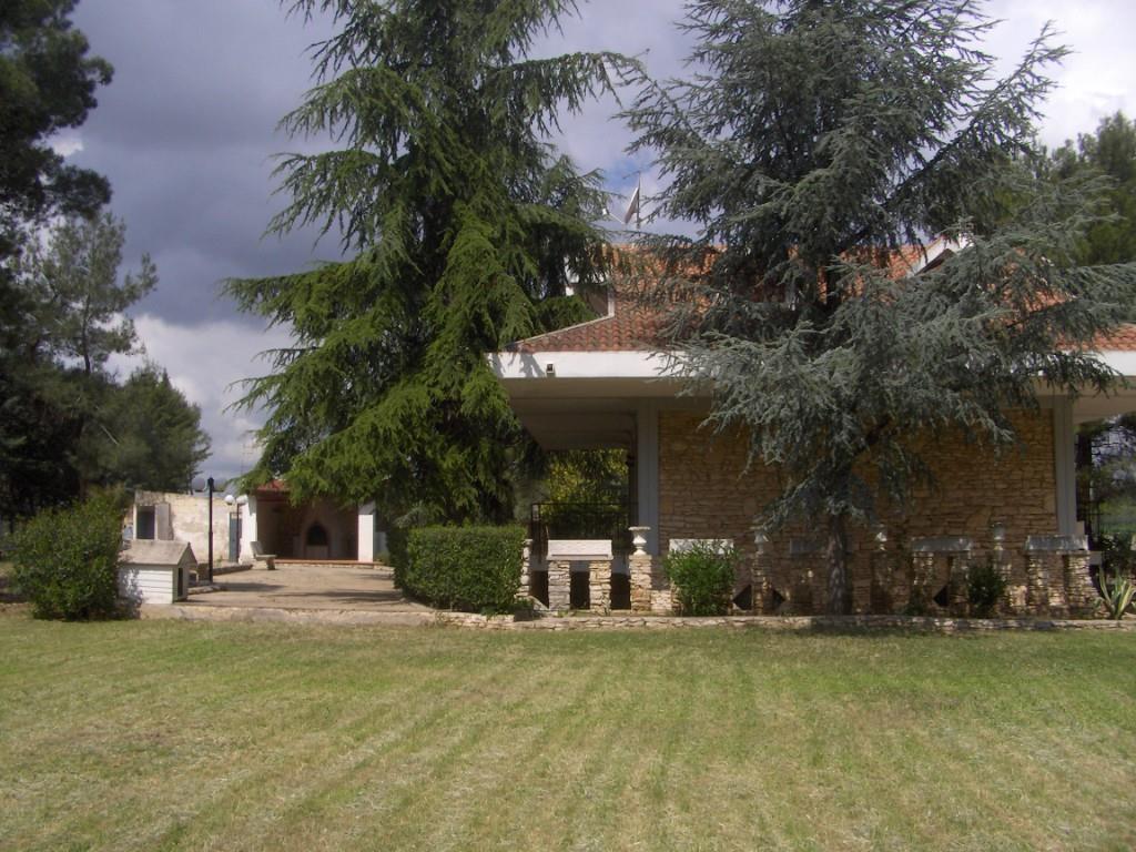 immagine annuncio 1 di 4