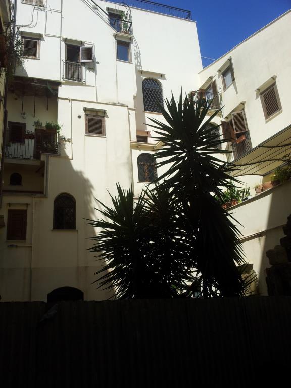 immagine annuncio 4 di 7