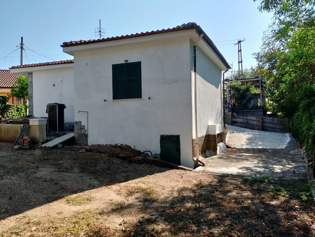 immagine annuncio 2 di 7