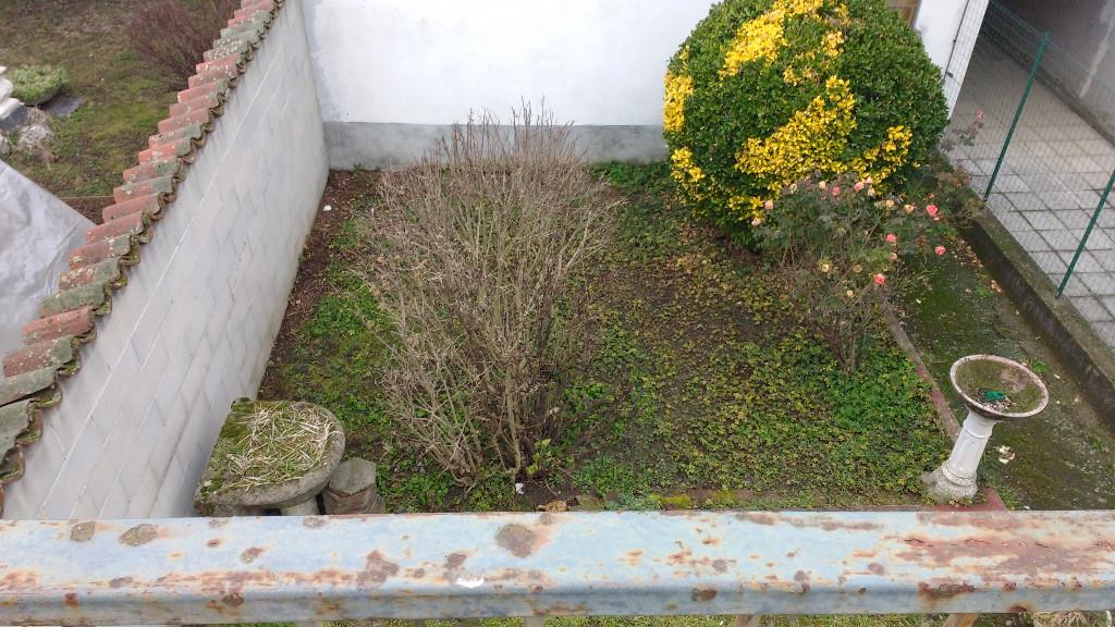 immagine annuncio 3 di 7