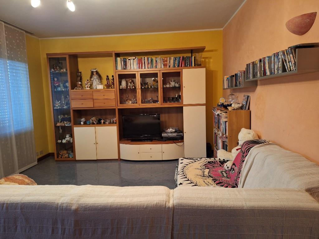 immagine annuncio 5 di 7