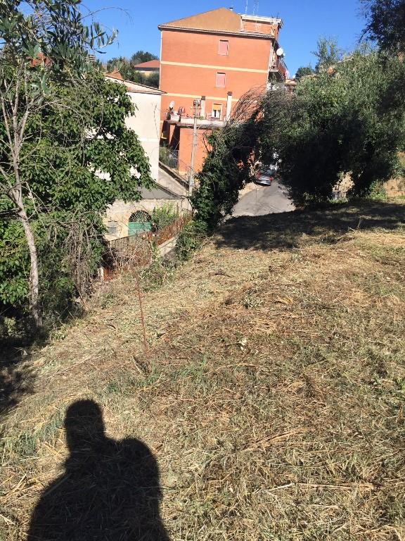 immagine annuncio 4 di 7