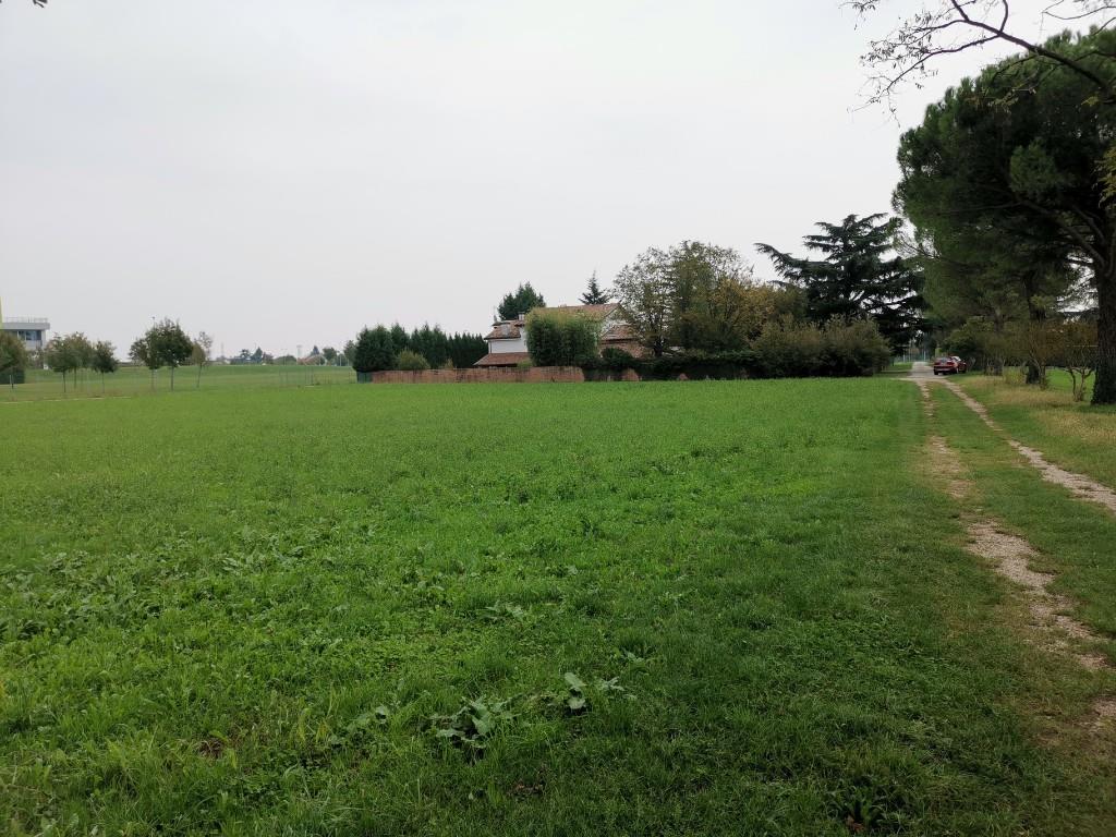 immagine annuncio 4 di 6