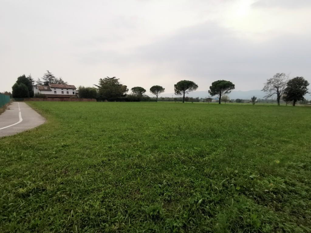immagine annuncio 3 di 6