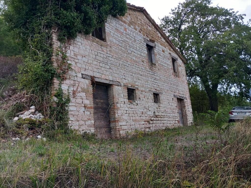 immagine annuncio 6 di 7
