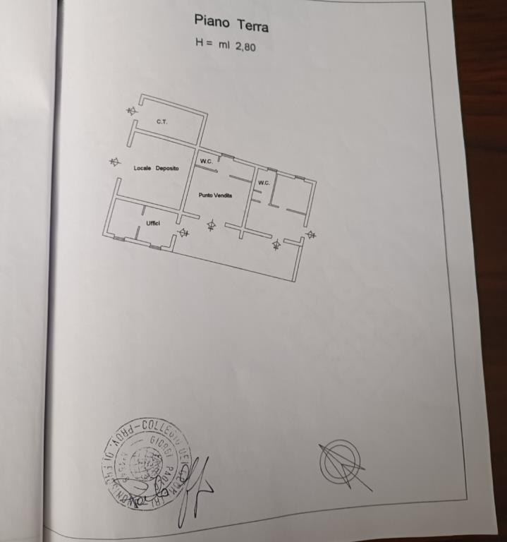 immagine annuncio 5 di 6