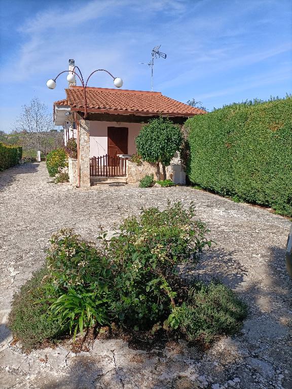 immagine annuncio 5 di 7