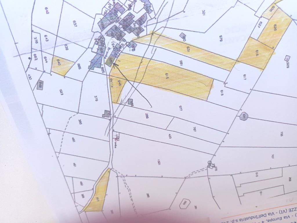 immagine annuncio 1 di 2