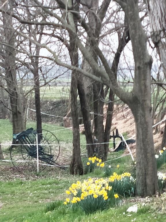 immagine annuncio 1 di 7