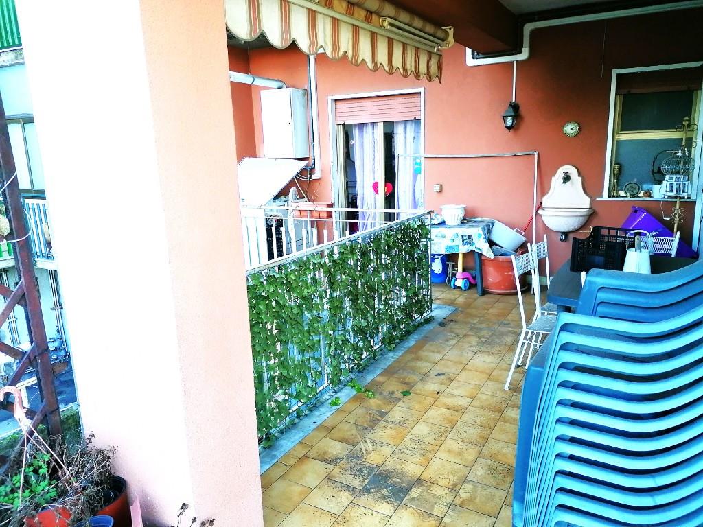 immagine annuncio 5 di 7